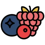 berries Icon