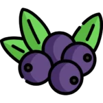berry Icon