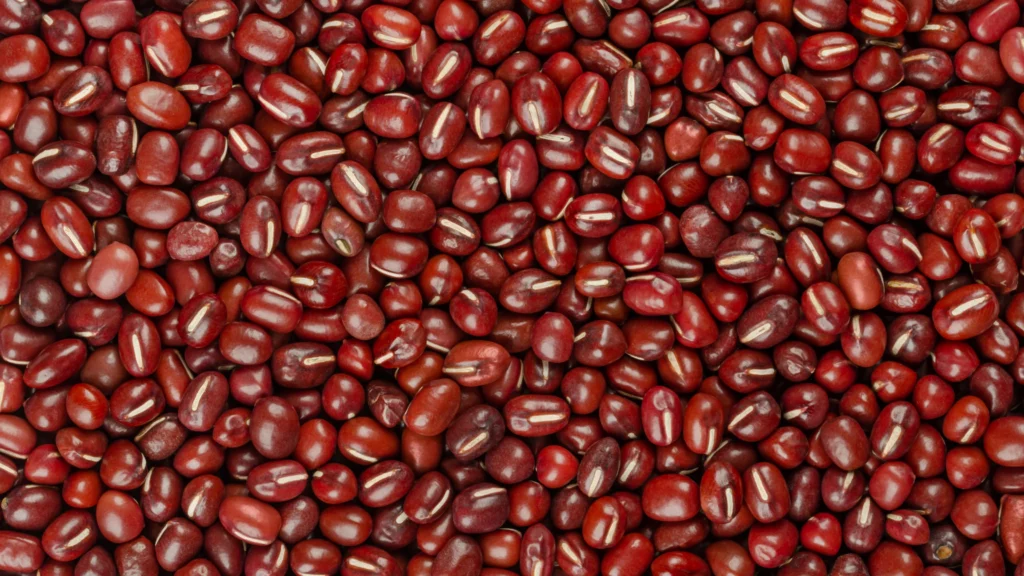 What are Adzuki Beans